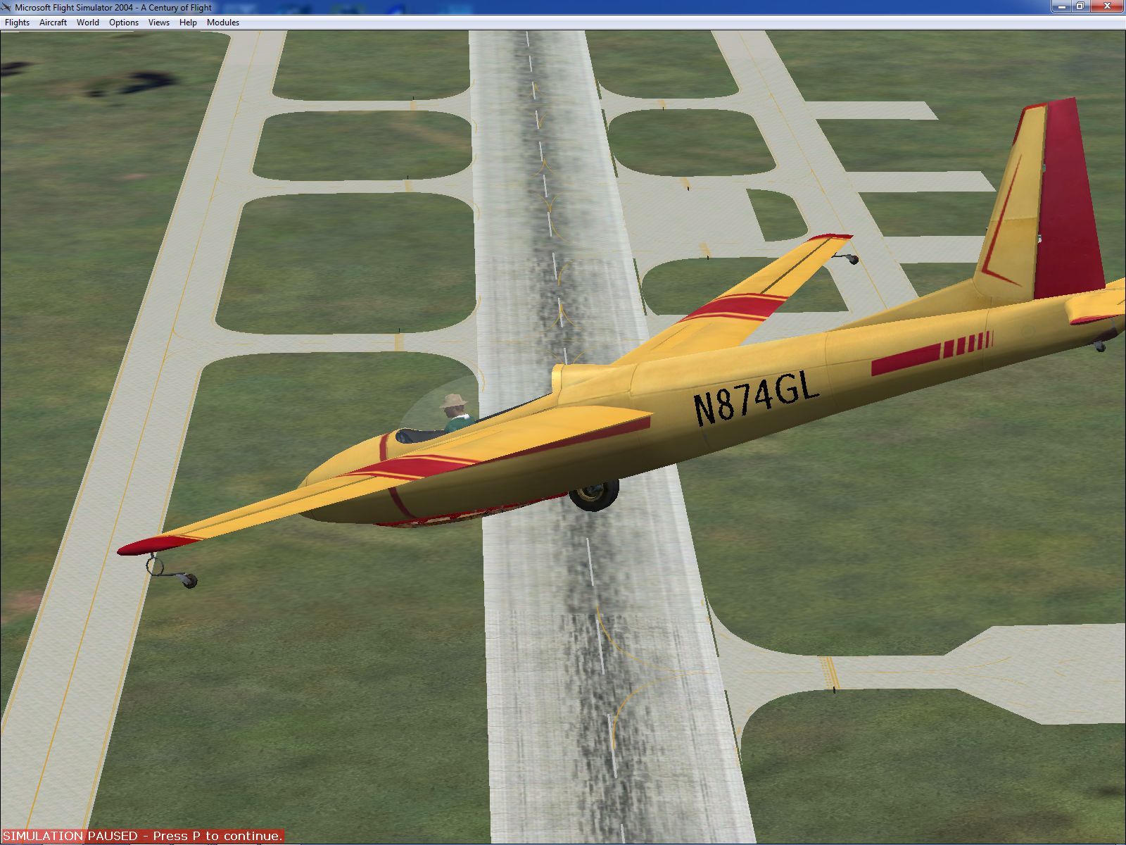 sailplane flight simulator